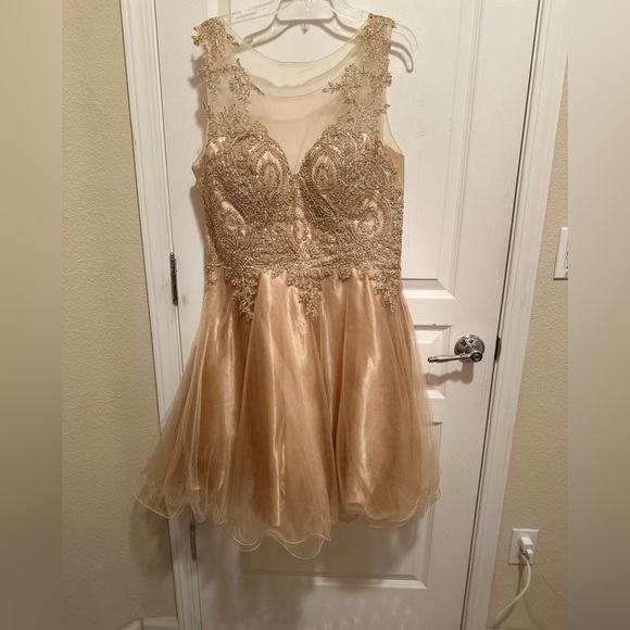 Champagne Party Dress - Picture 1 of 2